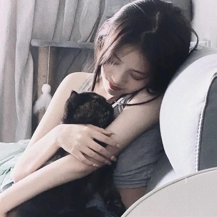 红帐篷 在线观看